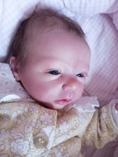 Reborn Baby Lelou