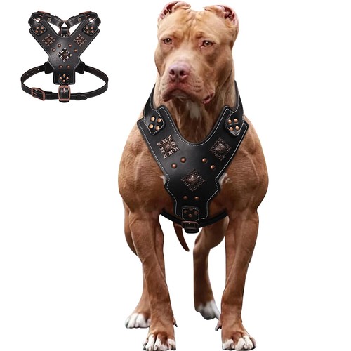 Echtes leder hundegeschirr - leder, mit