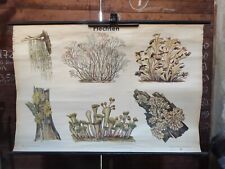 DDR Rollkarte Schulkarte