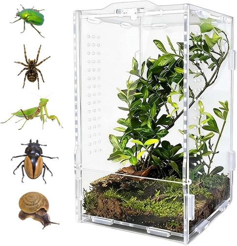 Mini terrarium acryl - terrarium, cm