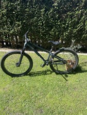 Rose Dirtbike, The Bruce 2