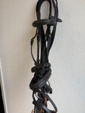 2 Trensen, 2 Bauchlatze, 1