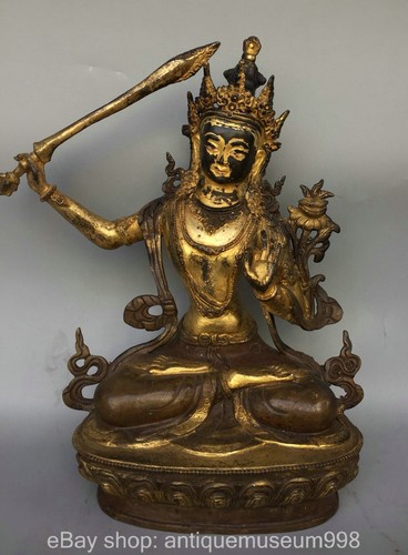 Tibet tibetischer - 12'',