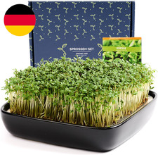 Otaro Kresse Anzuchtschalen