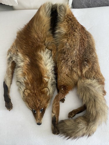 Fuchsstola vintage mit - fuchsstola,