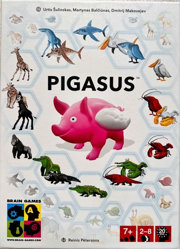 Pigasus brain games legespiel - games,