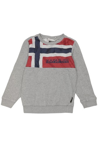 Napapijri hoodies sweater - &,