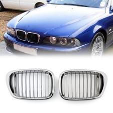 Kühlergrill Grill Nieren