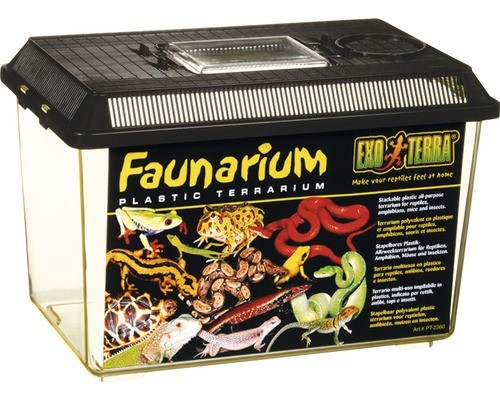 Transportbehälter faunarium - transportbehälter,