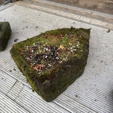 Großer runder Pflanztrog aus