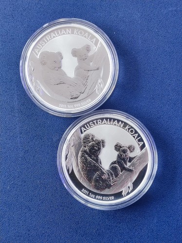 Koala 2011 australien - 1,
