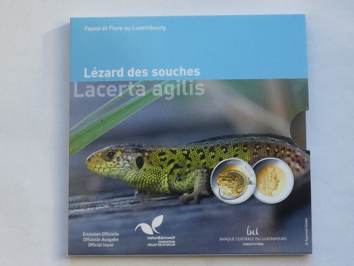Luxemburg euro 2021 - 5,