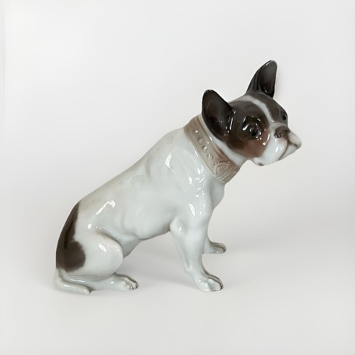 Französische bulldogge hund - französische,