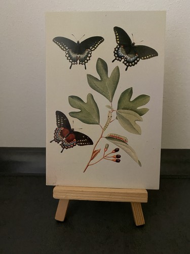 Postkarte motivkarte - postkarte,