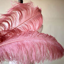 Dyed Ostrich Feather Table Centerpiece Feathers for Banquet Party Decor