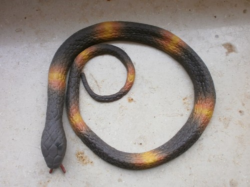 Gummischlange blindschleiche - gummischlange,
