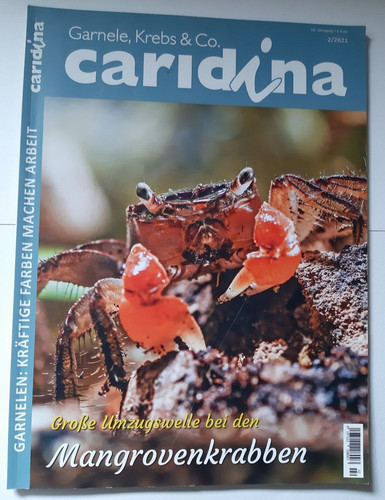 Caridina 2021 garnele - 2/2021,