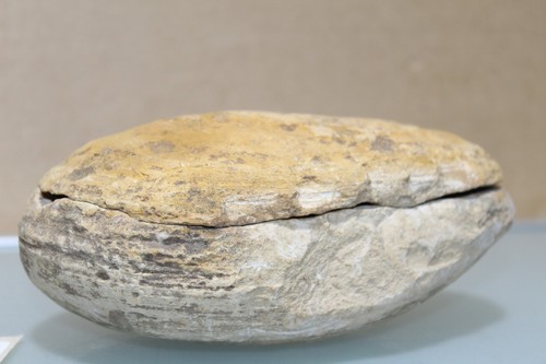 Fossiler fisch hälften - in, 2