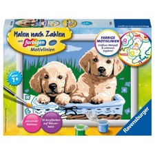 Ravensburger Malen nach Zahlen