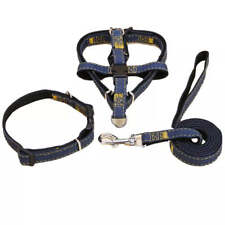 Jeans Hunde Haustier Halsband