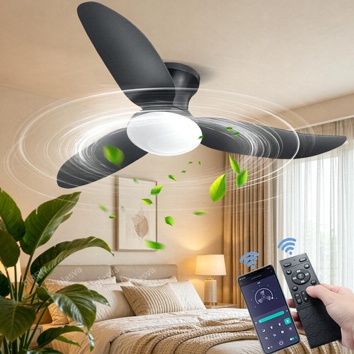 Deckenventilator mit