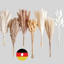 125 Stück Getrocknetes