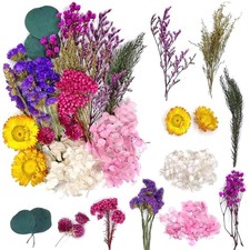 Trockenblumen bastelset - trockenblumen,