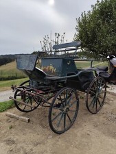 Kutsche. Marathonwagen, Einspännig und Zweispännig 
