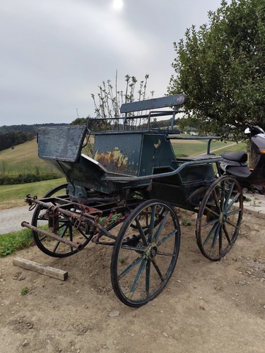 Kutsche marathonwagen - kutsche.,