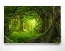 Atemberaubende Wald Motive als