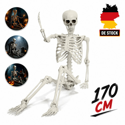 Anatomie halloween skelett - anatomie,