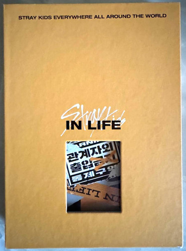 Stray kids life type - stray, b