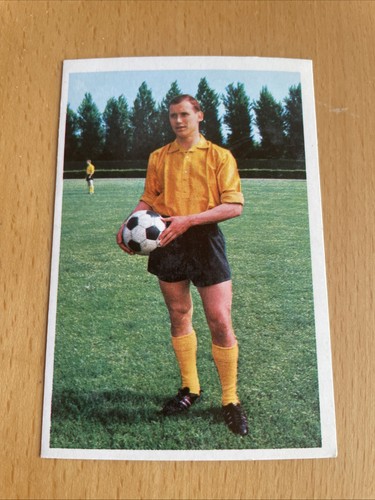 Bergmann 1967 78 - bergmann,