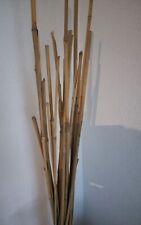 20x Bambusstangen 120 cm Natürliche Dekoration DIY Trockenstrauß Gesteck Vase
