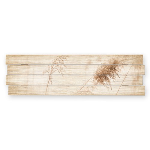 Gräser wandbild aus mdf - aus,