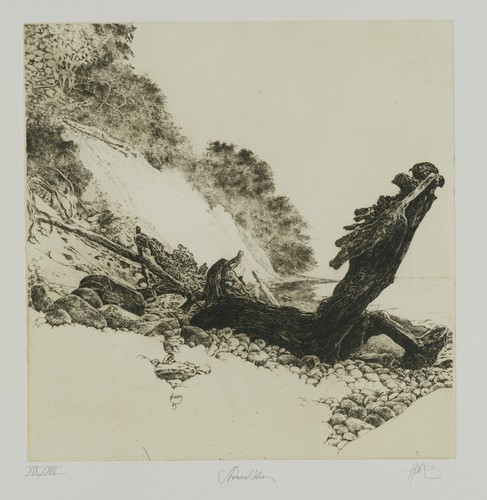 Herzog - w.,