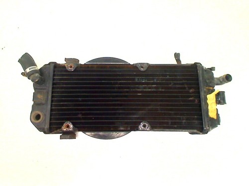 Kühler honda 750 - vt,