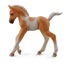 Pinto Palomino Foal Running
