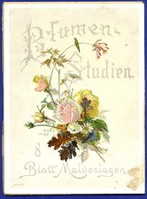 Sommer Blumen Blüten als