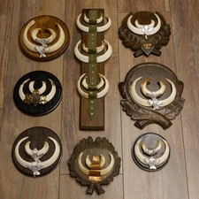 Wildschweinwaffen (Sus scrofa)