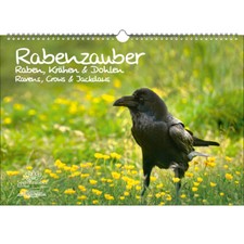 Rabenzauber Raben, Krähen und