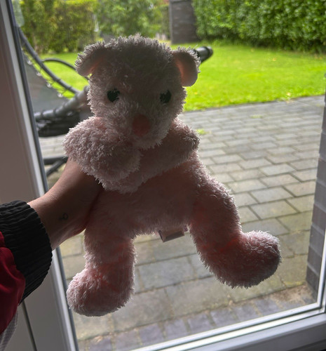 Vintage beanie buddy shelly - ty,