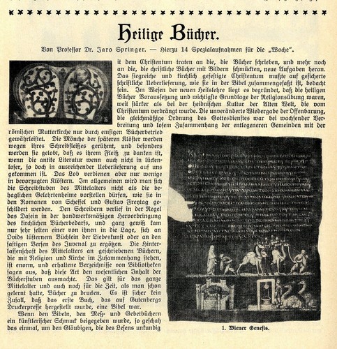 Prof jaro springer - prof.,