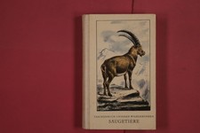 287907 Klaus Zimmermann