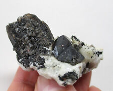 +++ Rauchquarz xx, Albit xx, Striegovit xx -- Striegau, Polen +++