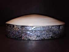 Schöne alte Schmuckschatulle Schachtel Dose MUSCHEL mit Samt