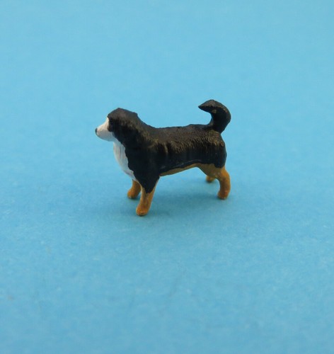 Berner sennenhund feinbemalt - berner,