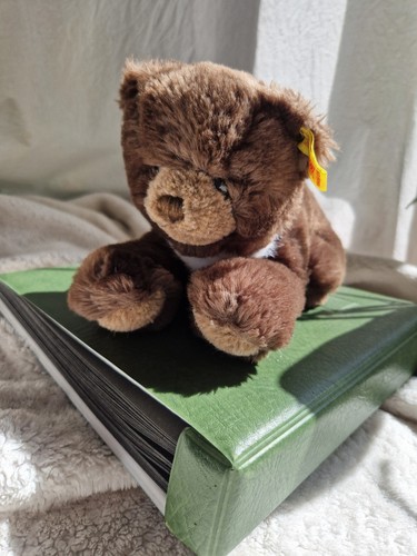 Steiff floppy lying teddy top - floppy,