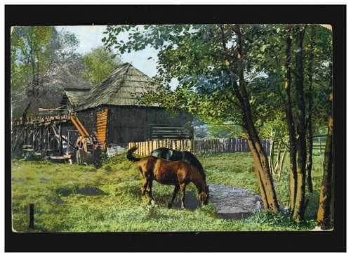 Landwirtschaft mühle pferde - landwirtschaft,