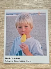 Panini Marco Reus 204 BVB